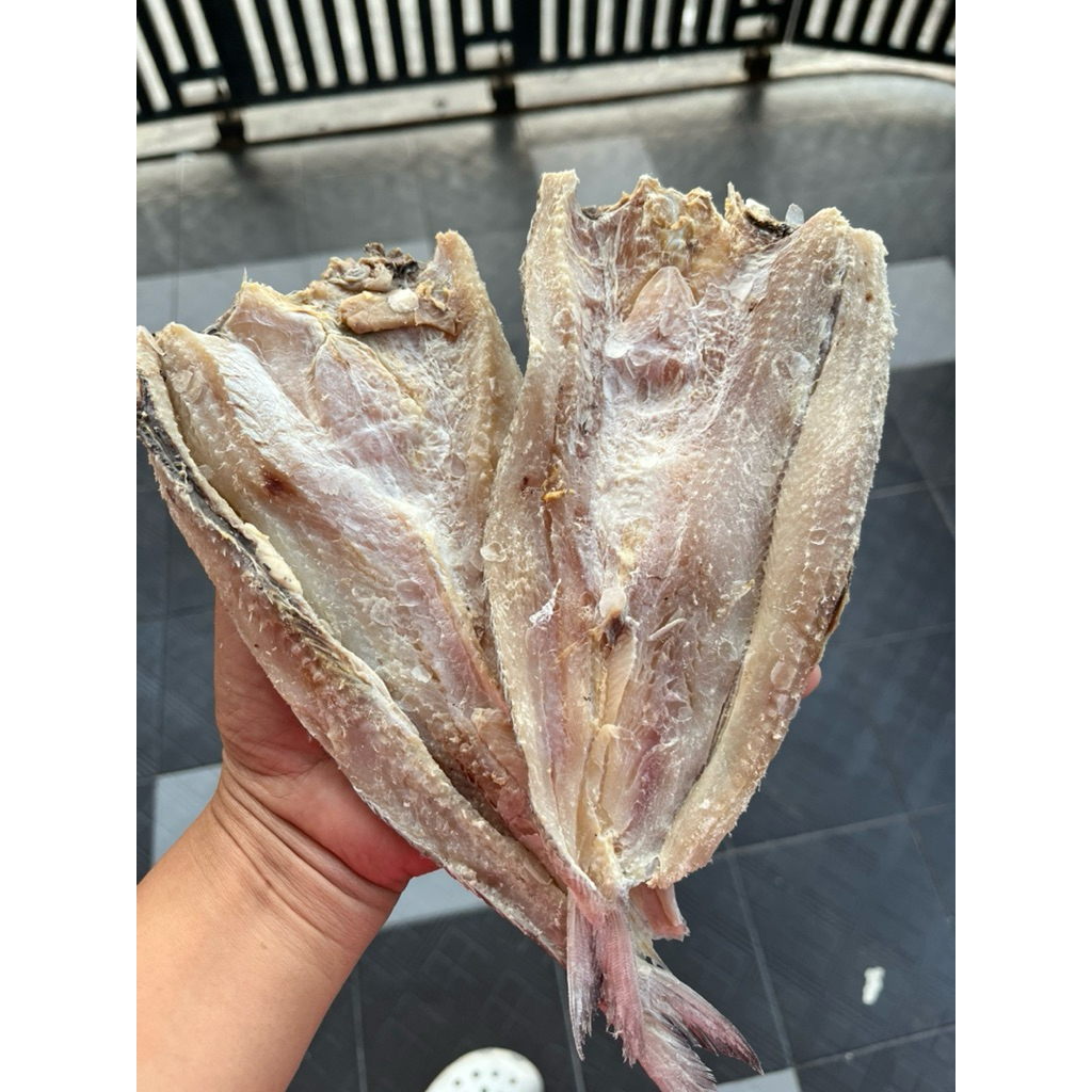 

Ikan asin jambal Ikan Asin jambal bloso kualitas premium asli tuban