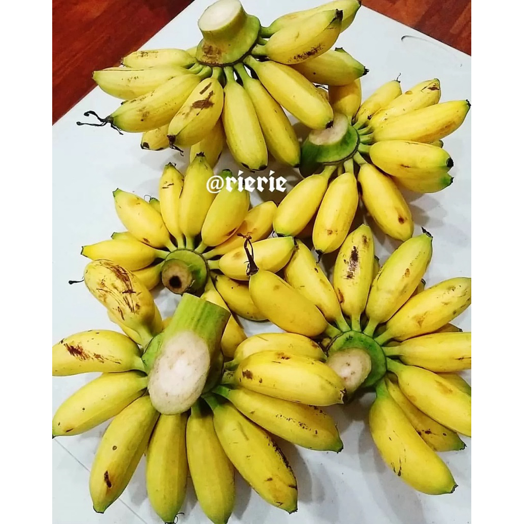 

Pisang Emas Kirana Manis 500gr