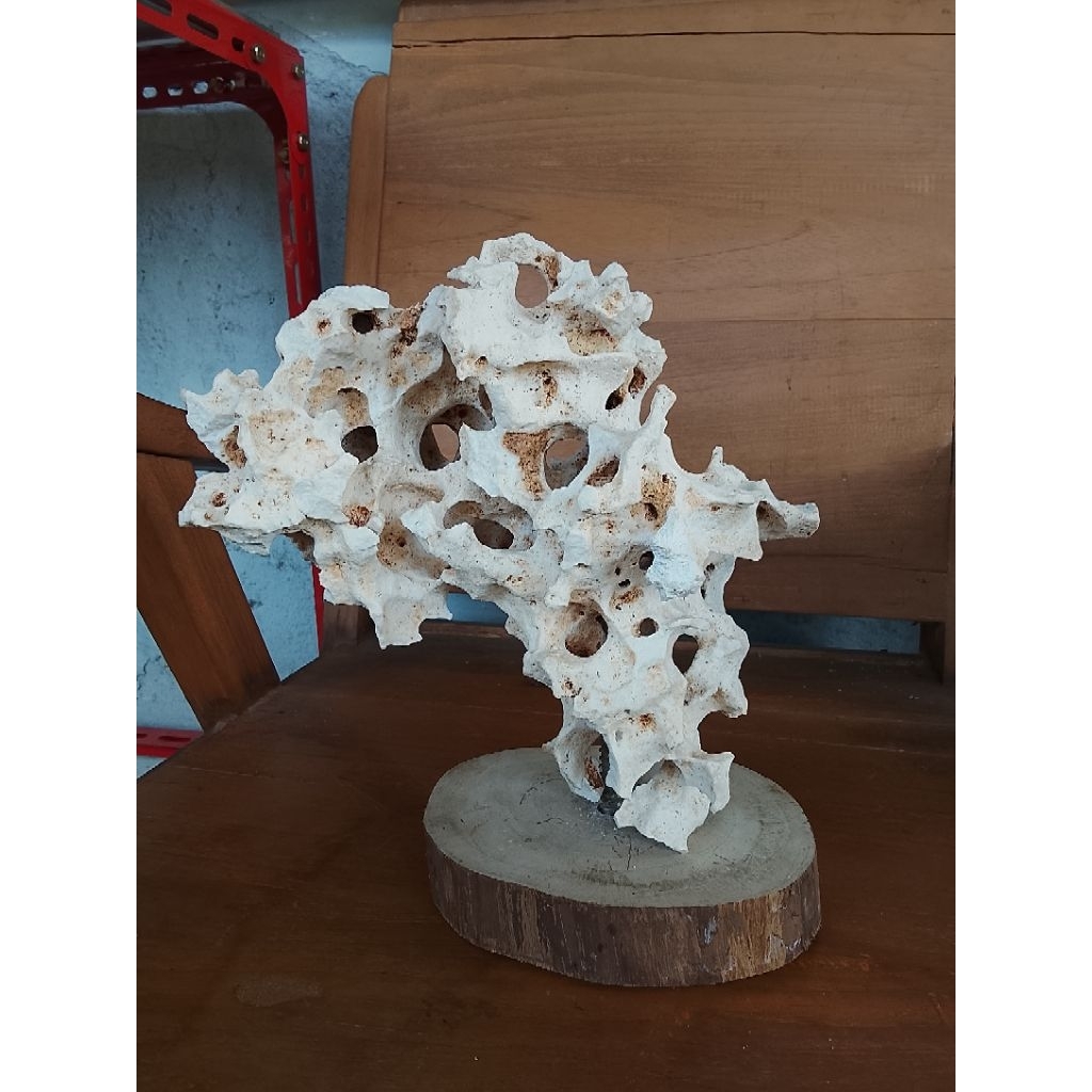 Batu karang gunung putih berkarakter lubang, batu karang bonsai,batu aquarium