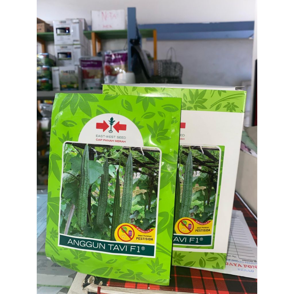 BENIH OYONG/ GAMBAS ANGGUN TAVI 75BUTIR