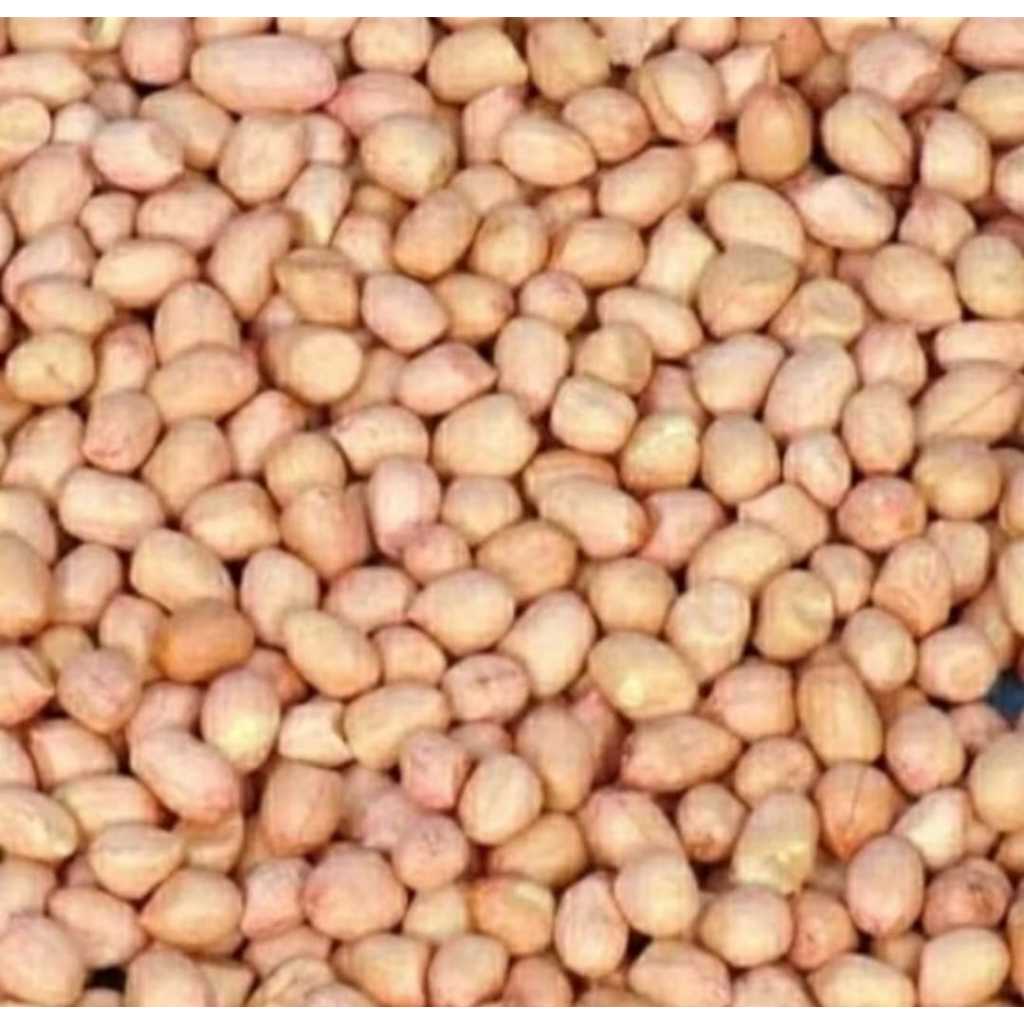 

Kacang Tanah Mentah Super Import [1Kg]