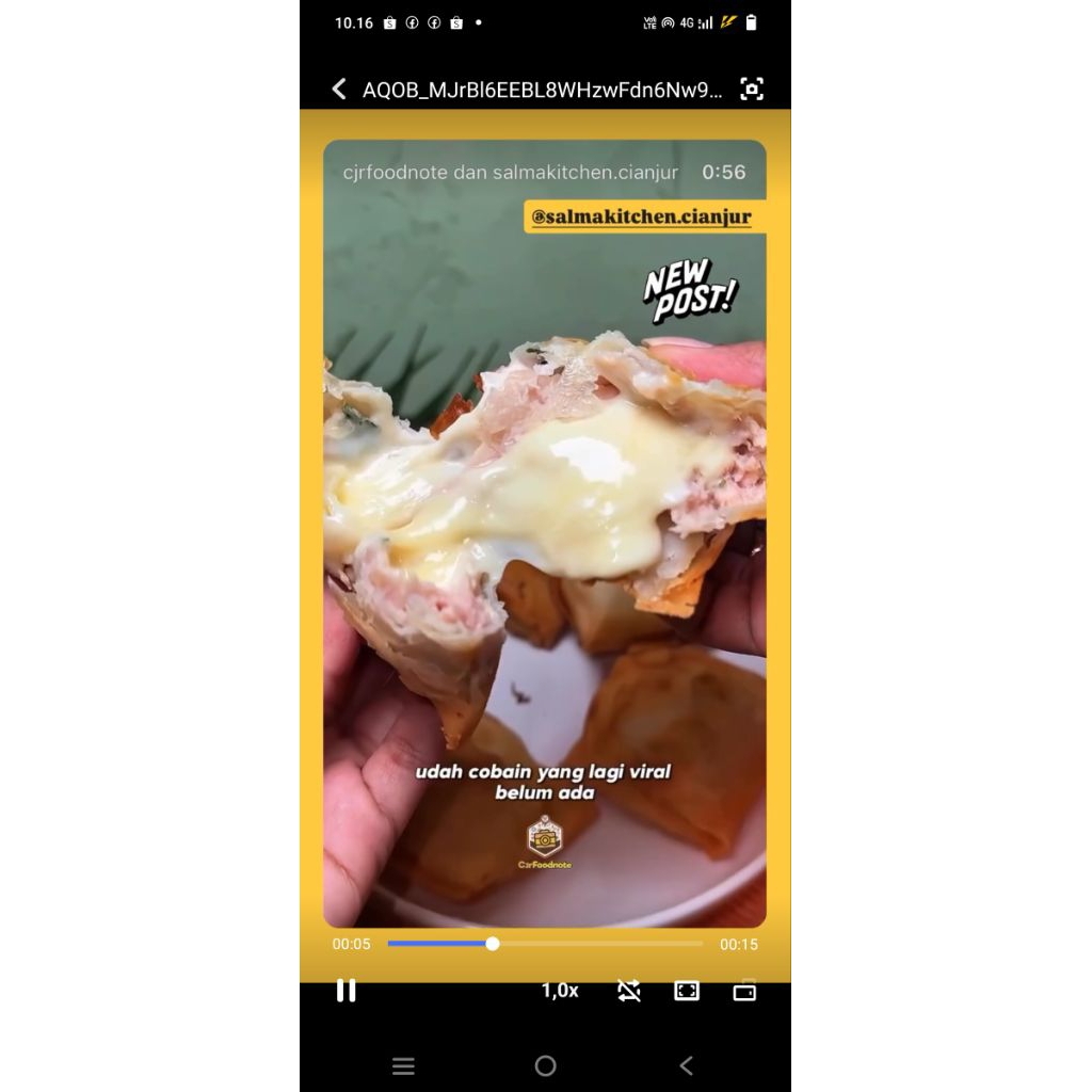 

DIMSUM KEJU LUMER FROZEN