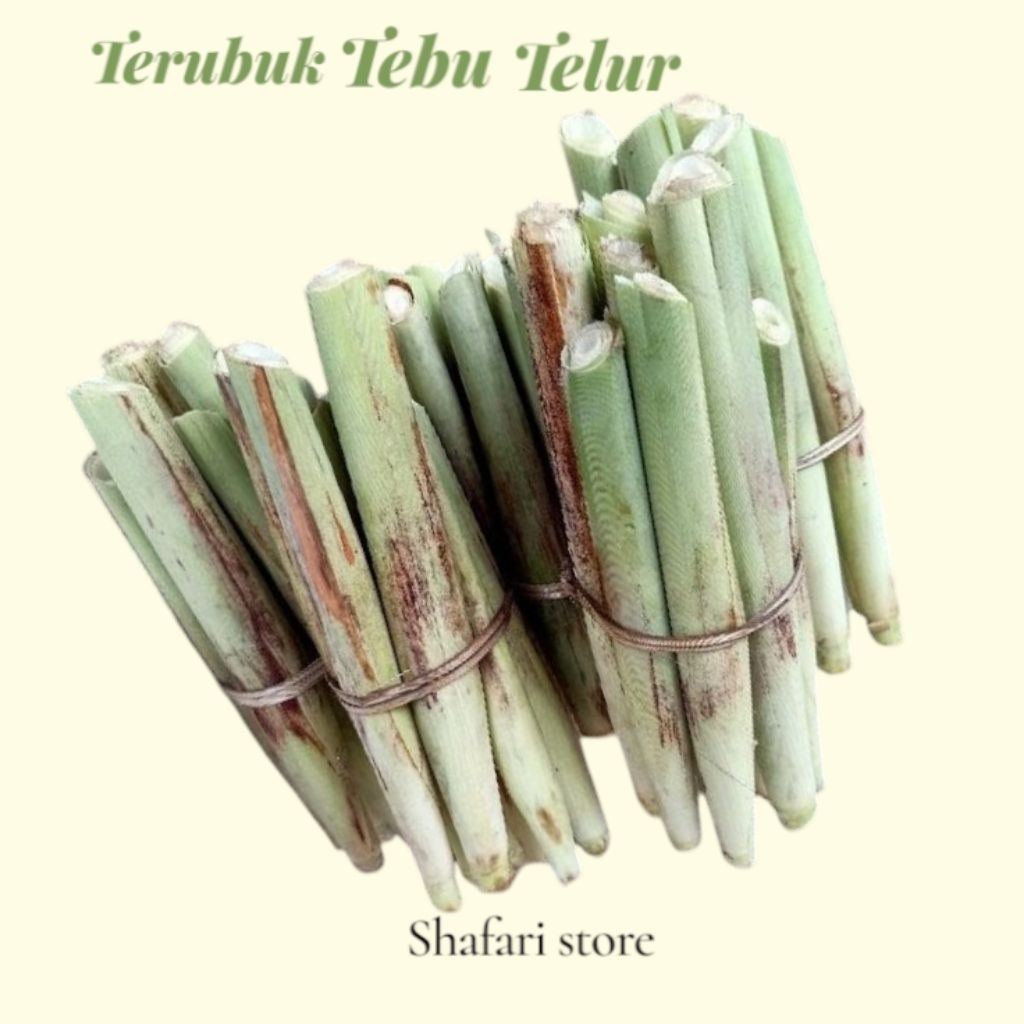 

Terubuk Telur Tebu, Terubuk Sayur Segar Fresh 1 Ikat Isi 5 pcs