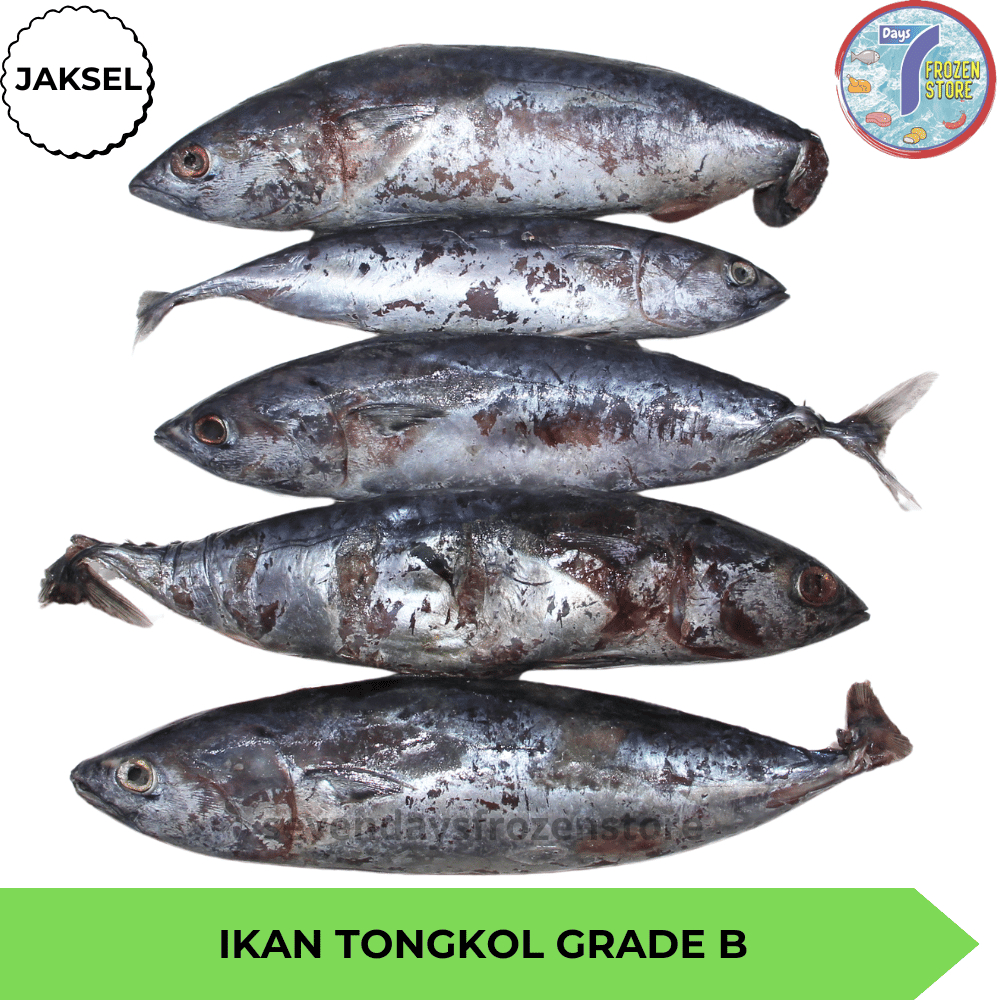 

Ikan Tongkol Grade B Frozen Beku Kapal Kemasan 800 Gr & 1 Kg