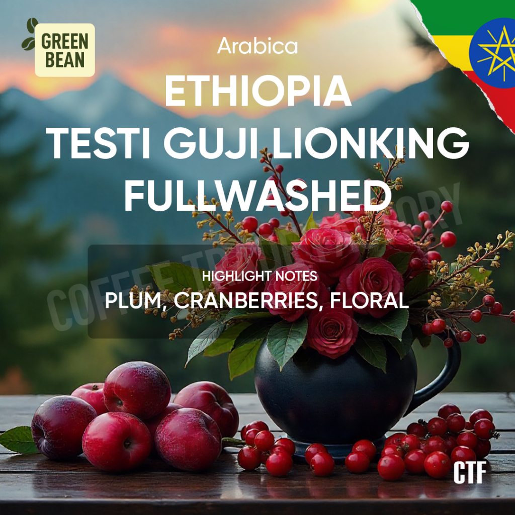 

Green Bean Arabica Ethiopia Testi Guji Jigesa Lionking Fullwashed Specialty Coffee