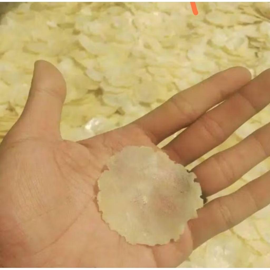 

Aceh | Kerupuk Melinjo Mentah 1Kg Khas Asli Aceh Tradisional