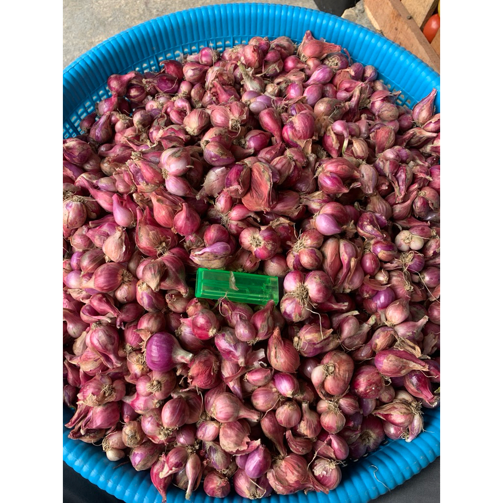 

BAWANG MERAH SUPER | BAWANG MERAH MURAH