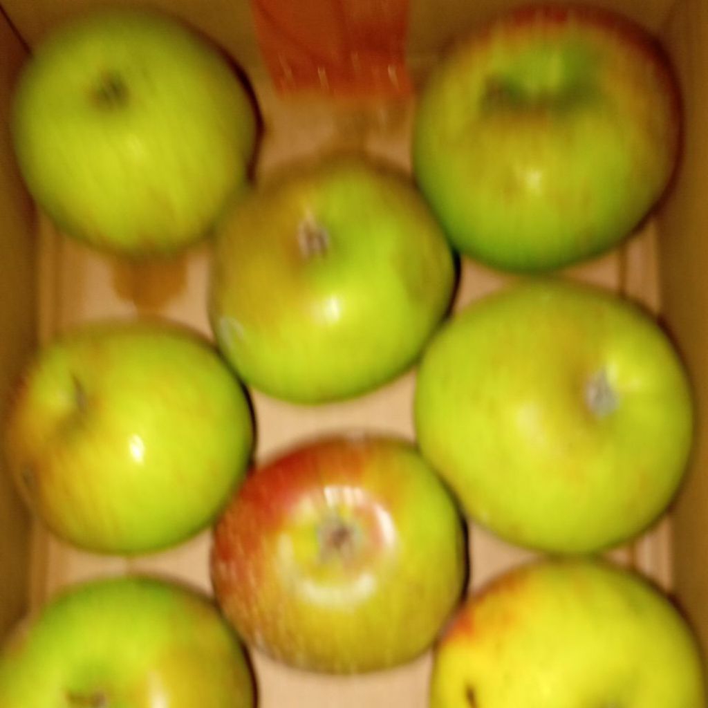 

Buah Apel Rome Beauty kilogram segar