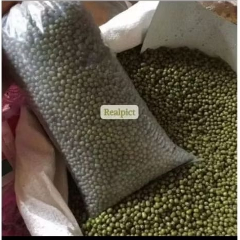 

Kacang hijau fresh dari petani, Kacang hijau super, Kacang hijau petani lokal, Kacang hijau satu kilo murah