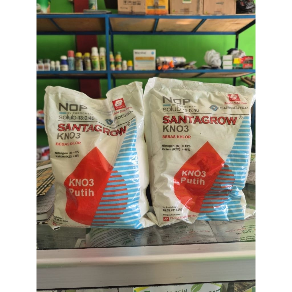 KNO3 PUTIH SANTAGROW 1KG