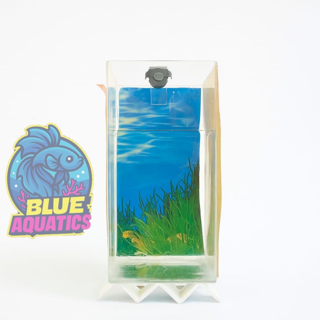Aquarium Minimalis Bahan Akrilik