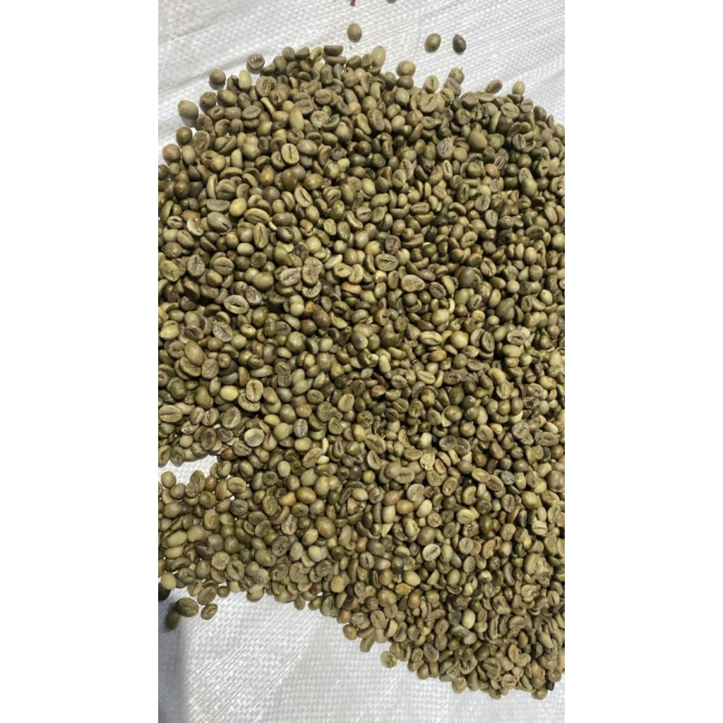 

green bean kopi robusta dampit 1kg