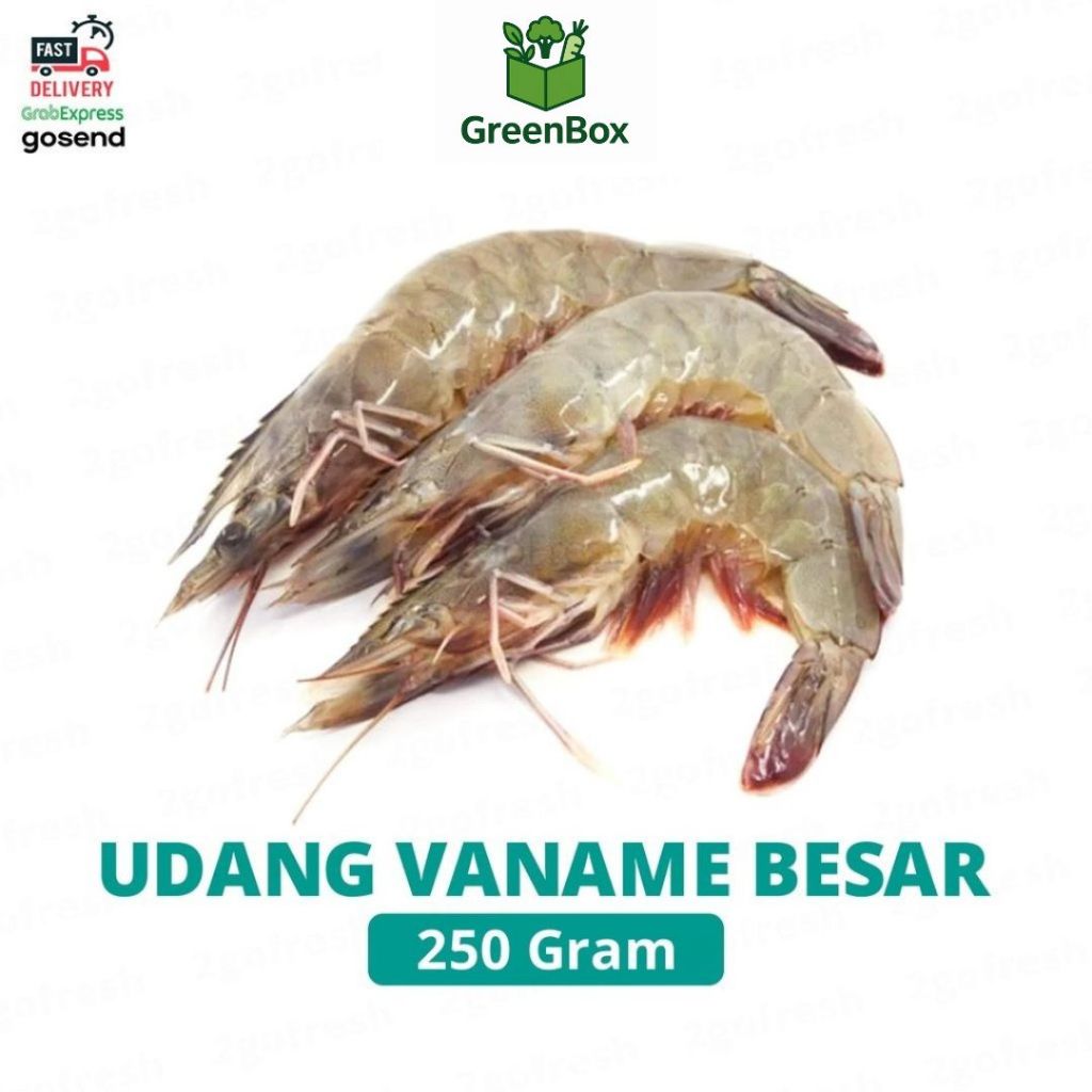 

Udang Vaname/ Vename Besar Fresh - Sayur Sayuran / Udang Besar