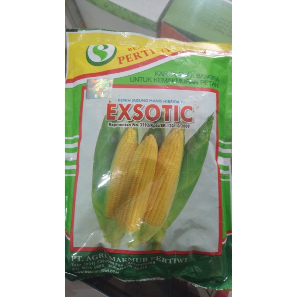 

Jagung manis EXSOTIC PERTIWI