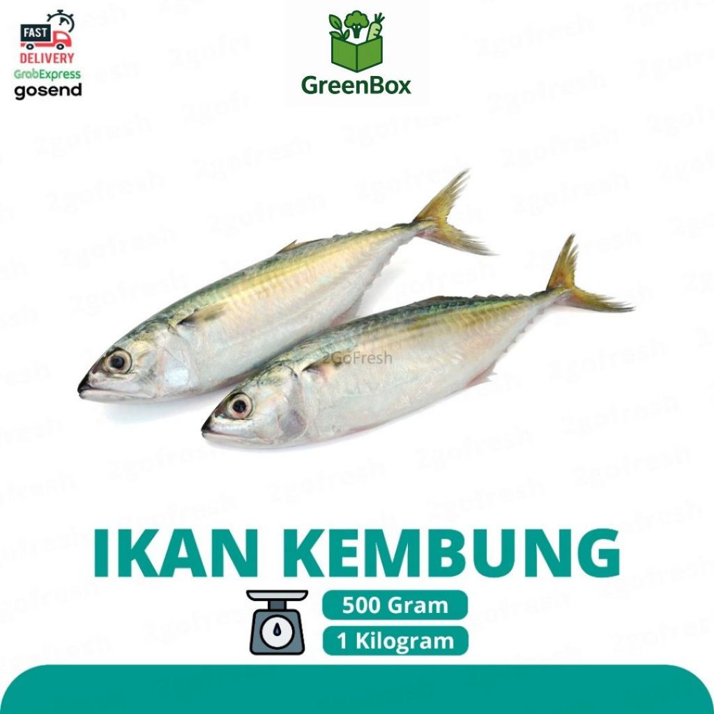 

Ikan Kembung Fresh - Sayur Sayuran