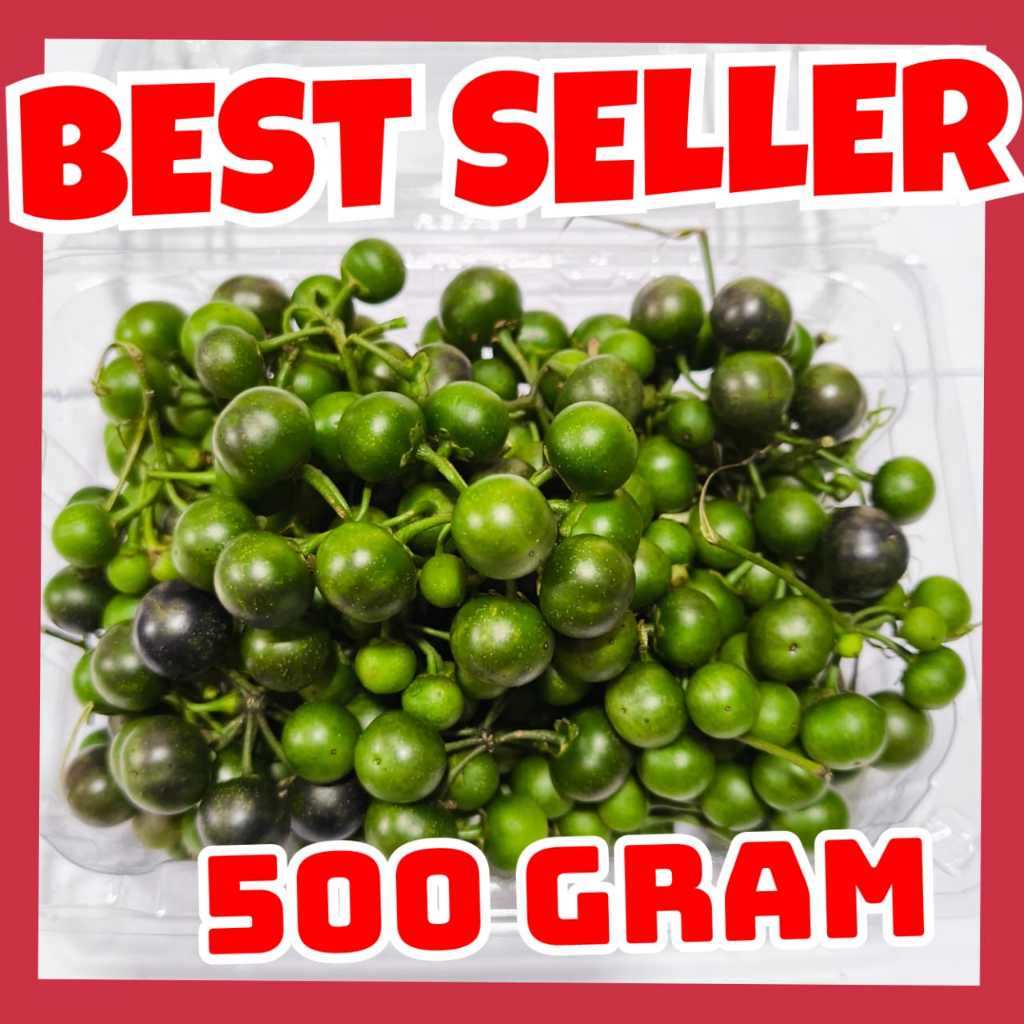 

Lenca 5 ons harga petani langsung fresh dr kebun langsung