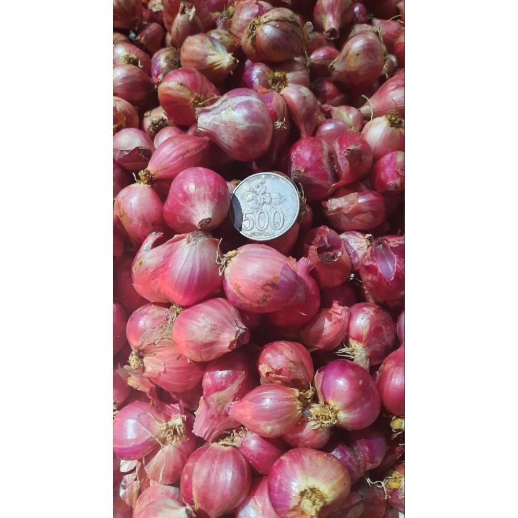 

Bawang merah SEDANG 500gr