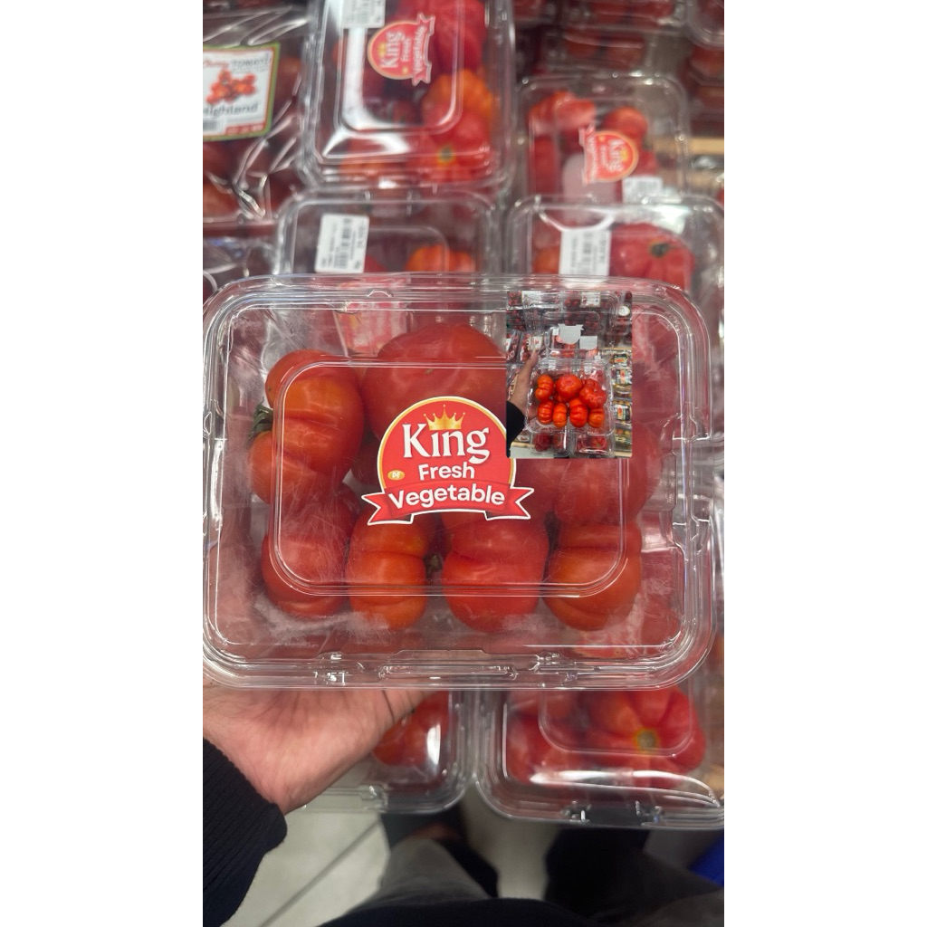 

Tomat Mawar Fresh | Tomat King Vegetable | Pack