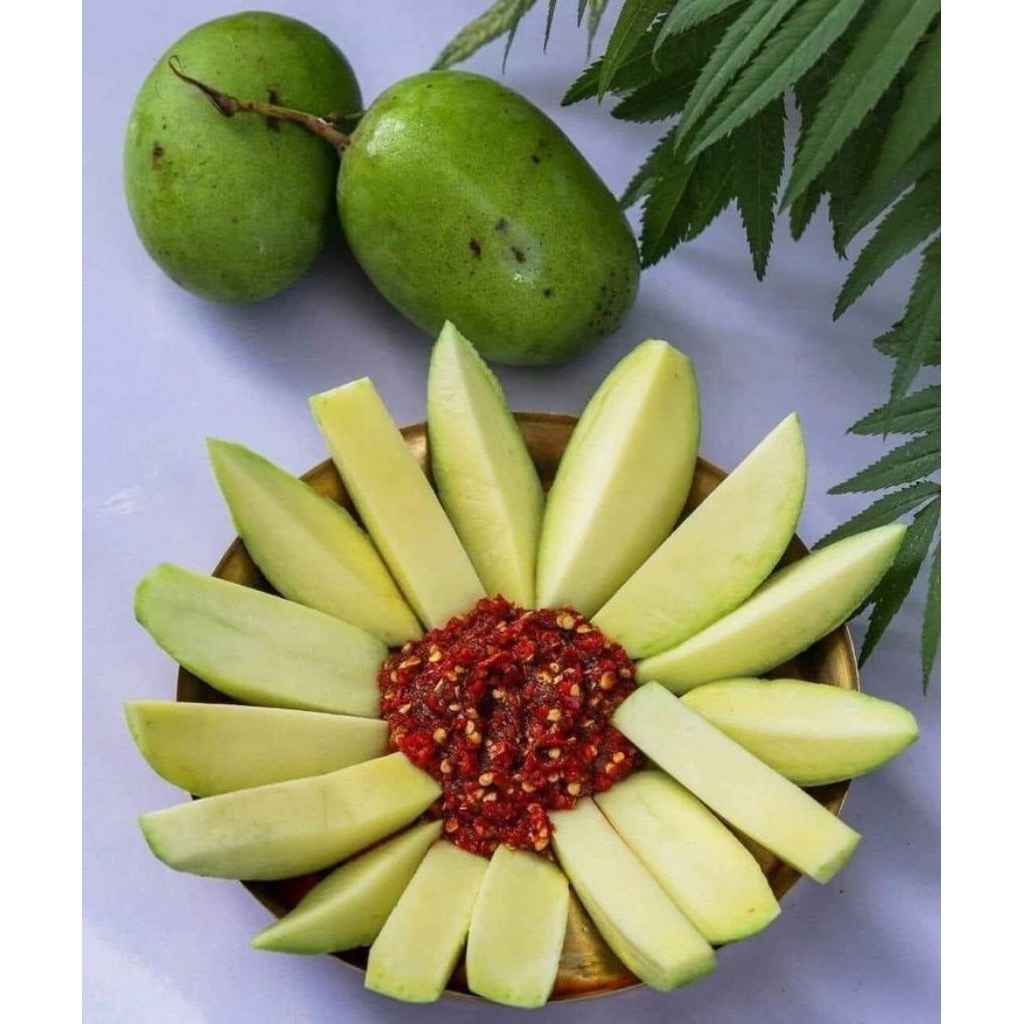 

Rujak MANGA MUDA BEST SELLER