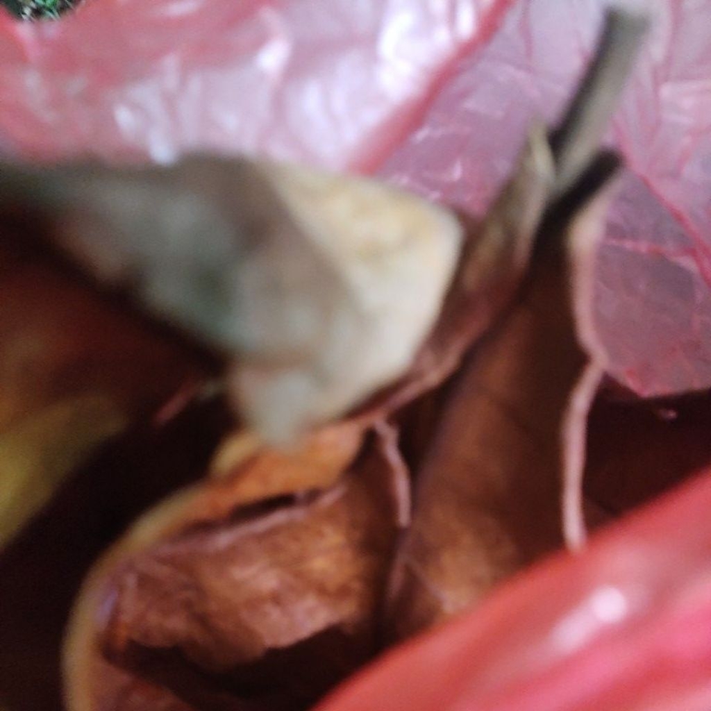 

MINUMAN HERBAL SUPER