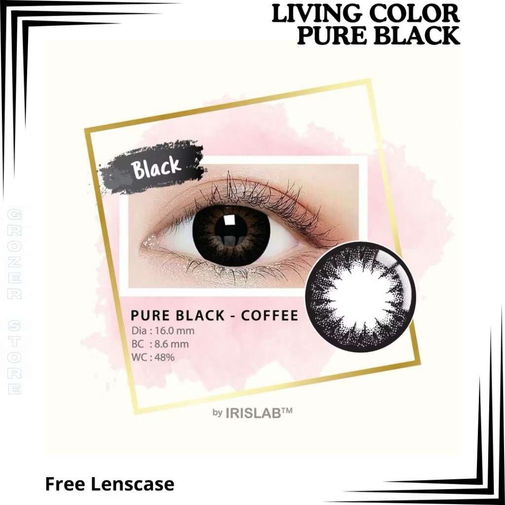 SOFTLENS BIG EYES HITAM & GREY