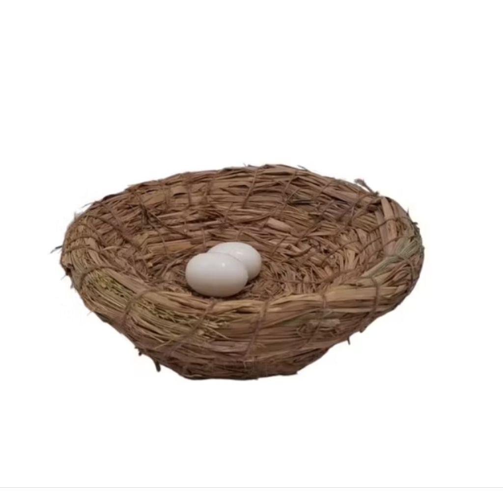 sarang burung perkutut