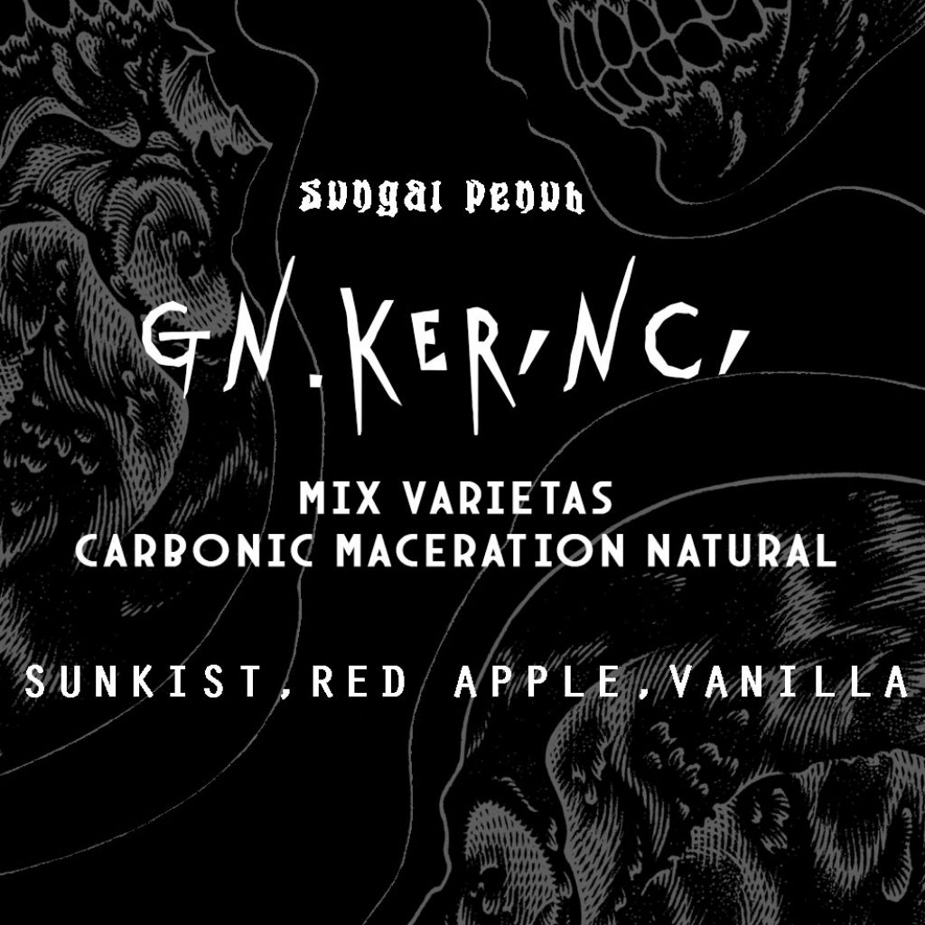 

kerinci sungai penuh carbonic maceration natural biji kopi