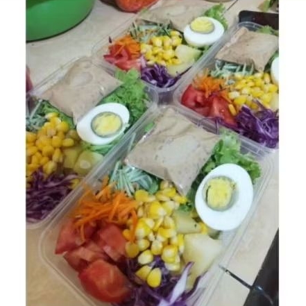 

SALAD SAYUR FRESH BY ANYA FROZEN & FOOD UK 500ML