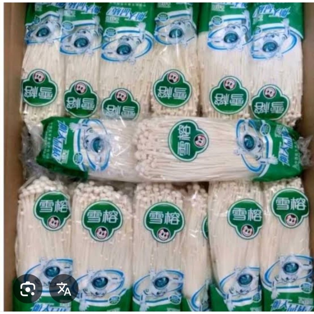 

Sameday Jamur Enoki 5 bks merk Astronot