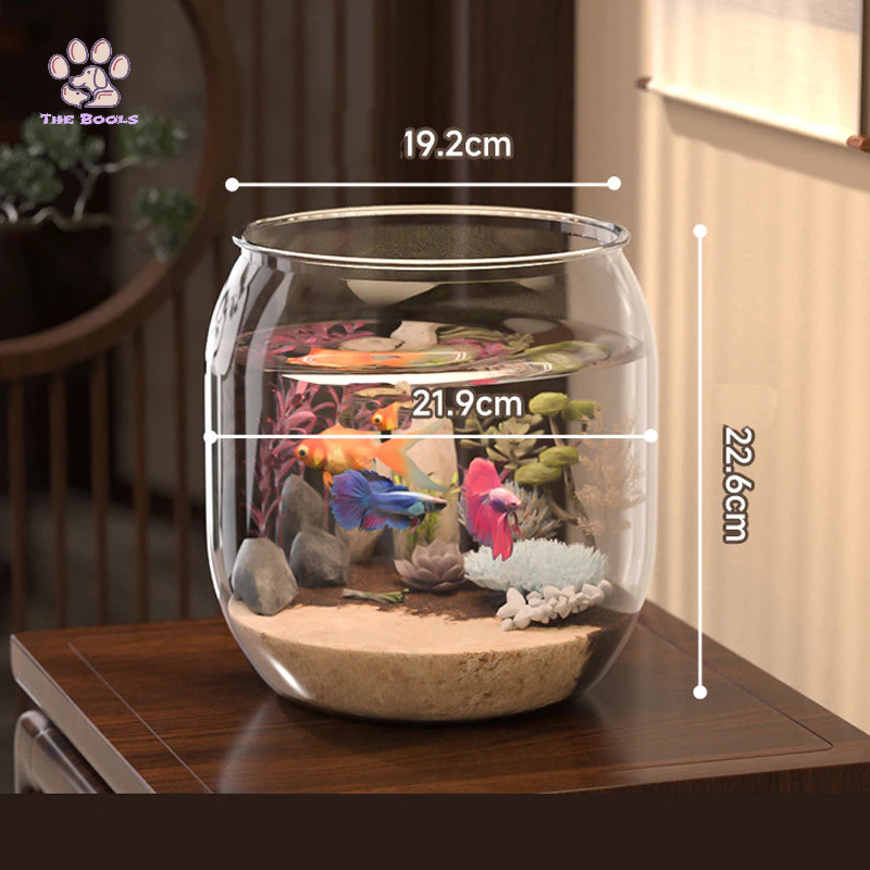 (The Bool's)  Aquarium Bulat Plastic Mini Aquarium Toples Bulat Ikan Hias Aquarium Toples Bulat Kura