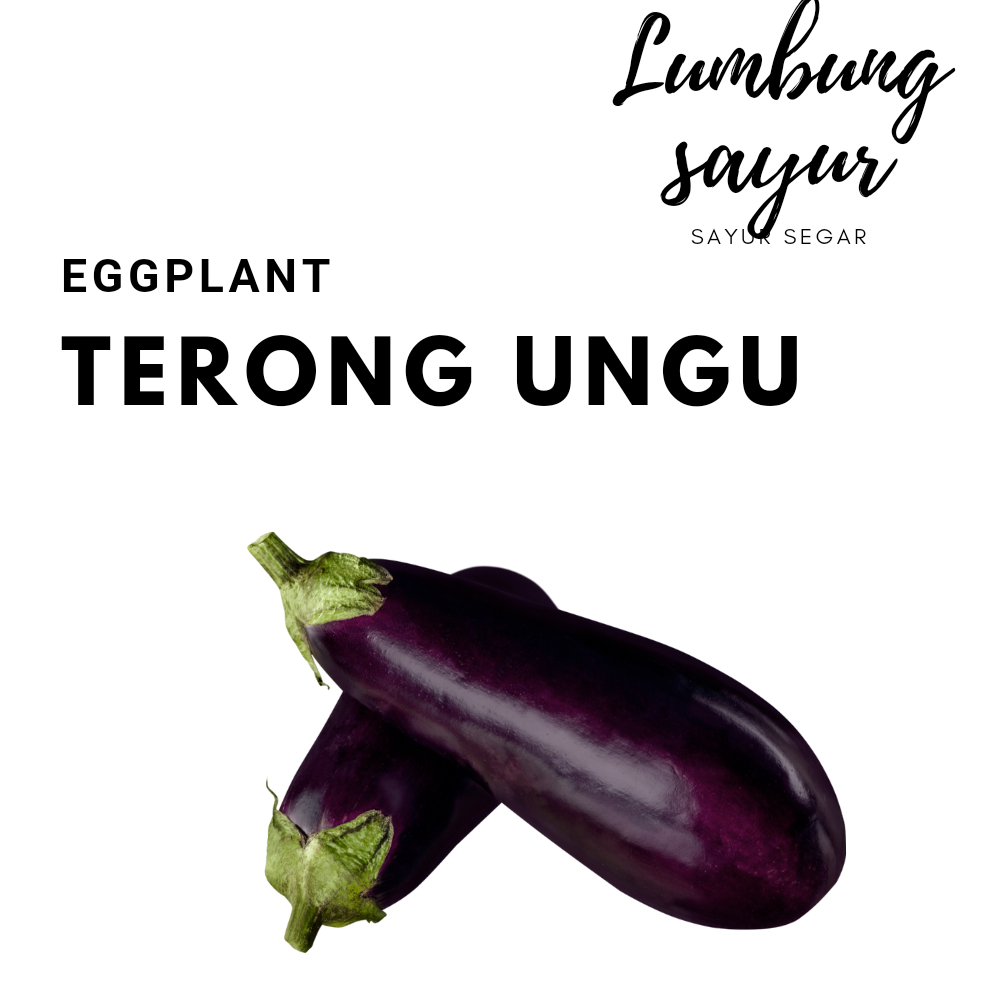 

Sayur Lumbung - Terong Ungu Segar / Sayuran Segar / Terong Fresh / Terong Ungu
