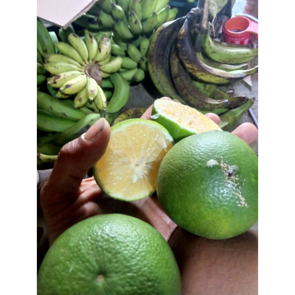 

jeruk Bangkok per 1kg