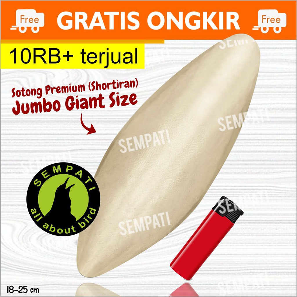 SEMPATI SOTONG UKURAN JUMBO CANGKANG TULANG CUMI KALSIUM IODIUM GARAM MINERAL DLL UNTUK BURUNG LOVEB