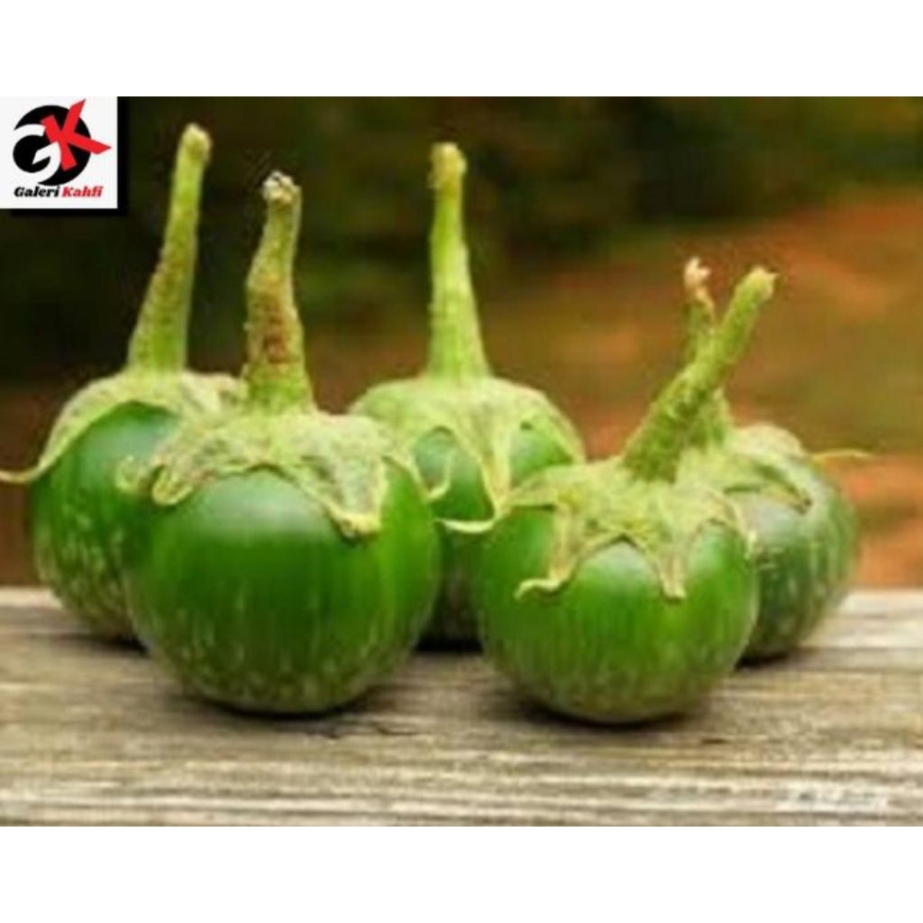 

Terong Hijau Bulat Segar Fresh Berkualitas - 500gr