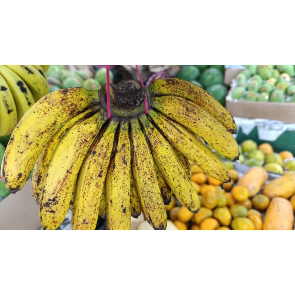 

kirim instant pisang barang medan satu sisir