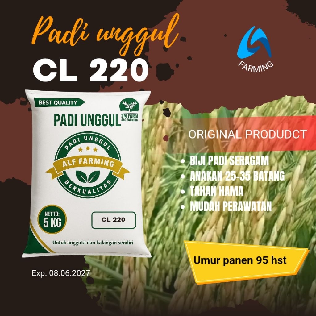 Padi Unggul CL 220 Kemasan 5 kg