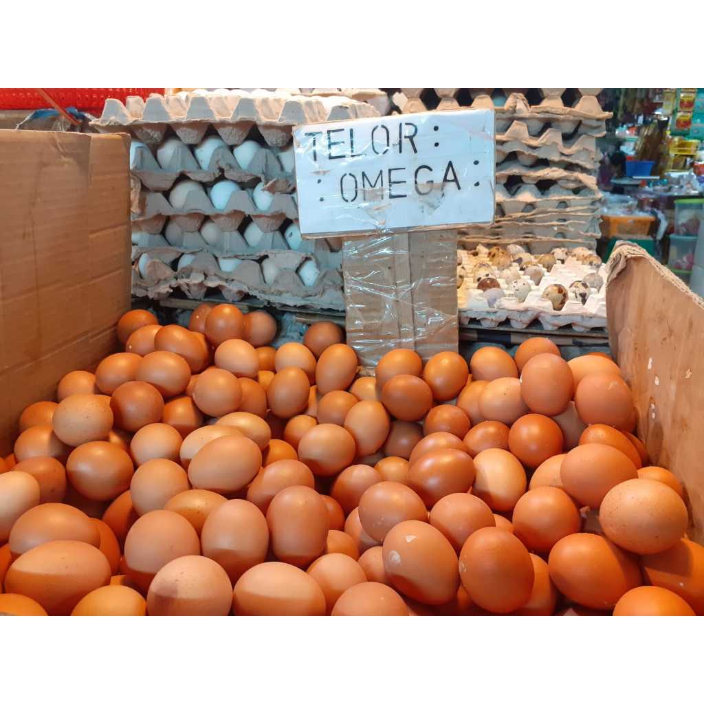 

Telur Ayam Omega 1 tray ( 30 butir ) - Telur Fresh Bersih