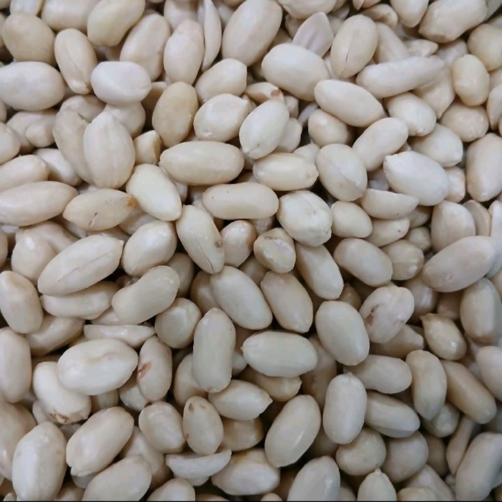 

Kacang Tanah Kupas Ukuran 500 Gram - 1 Kg / Kacang Bawang Ukuran 500 Gram - 1 Kg