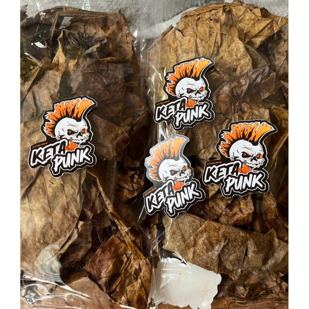 DAUN KETAPANG KHUSUS HARIAN IKAN DWARF by FirhinMadiun