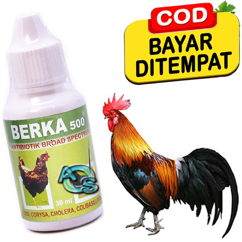 Obat Ayam Anti Virus Bakteri Sakit Lemas Diare Pilek Antibiotik Berka 500 Antibiotic Board Spectrum