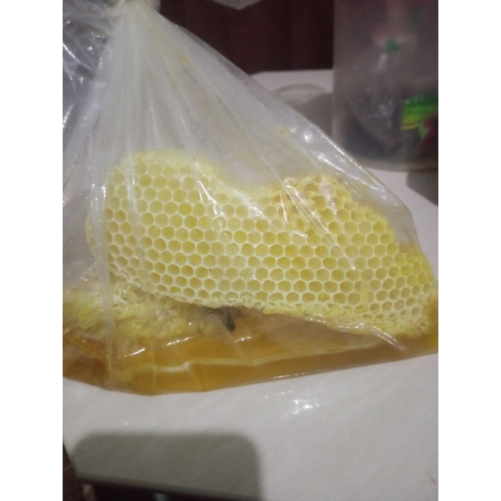 

madu Odeng asli hutan 1kg