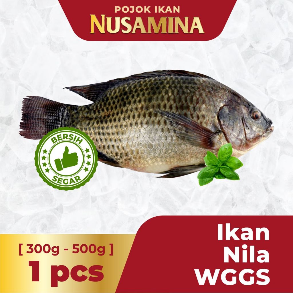 

Nusamina Ikan Nila WGGS Bersih Sisik dan Insang Dalam. Tidak Bau Tanah [1 pcs] / 500gram