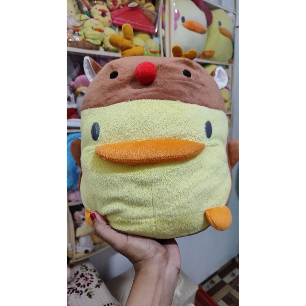 Boneka Piyo chan | Bantal Piyochan | Bebek piyo | Piyo-piyo jumbo kostum