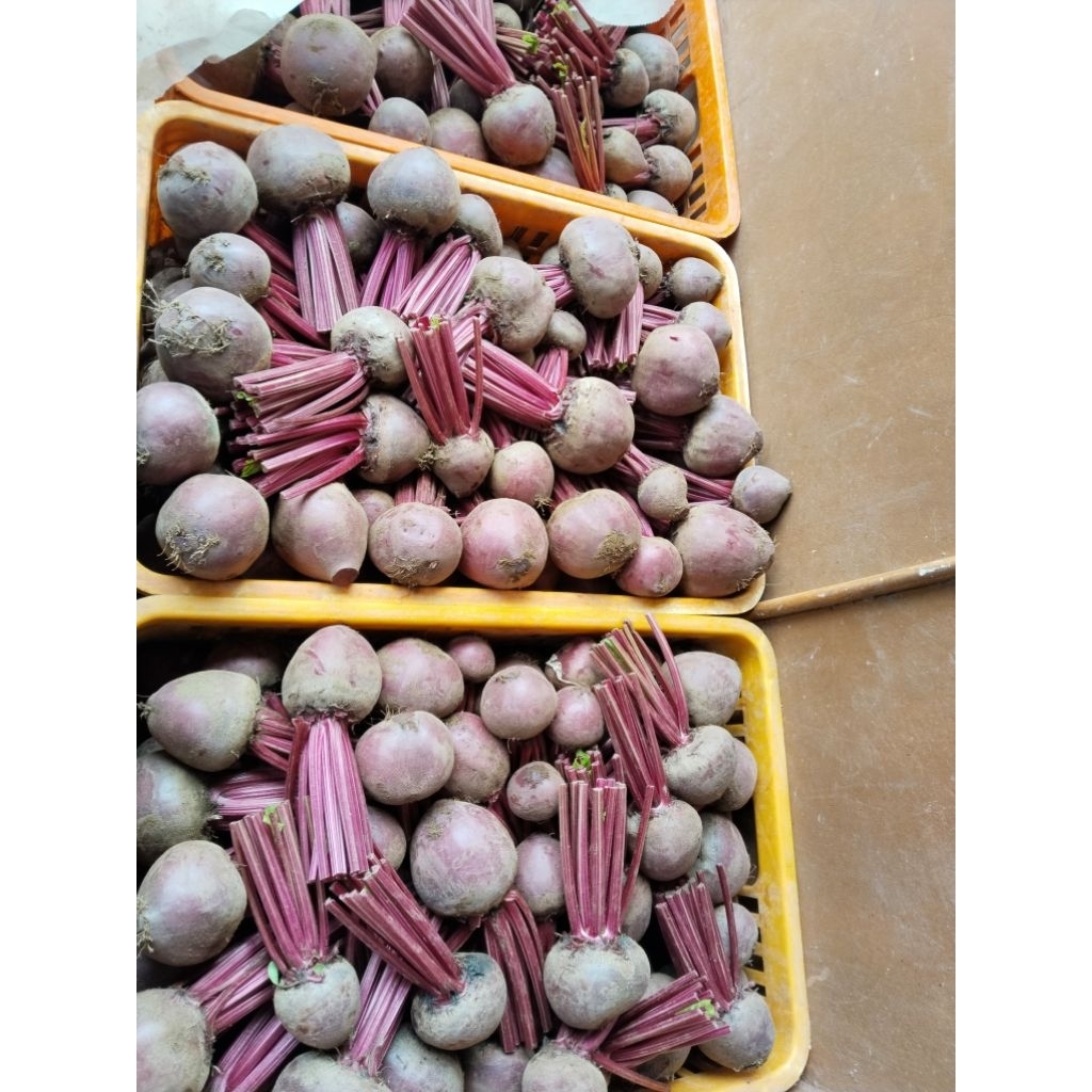 

buah bit buah kesehatan