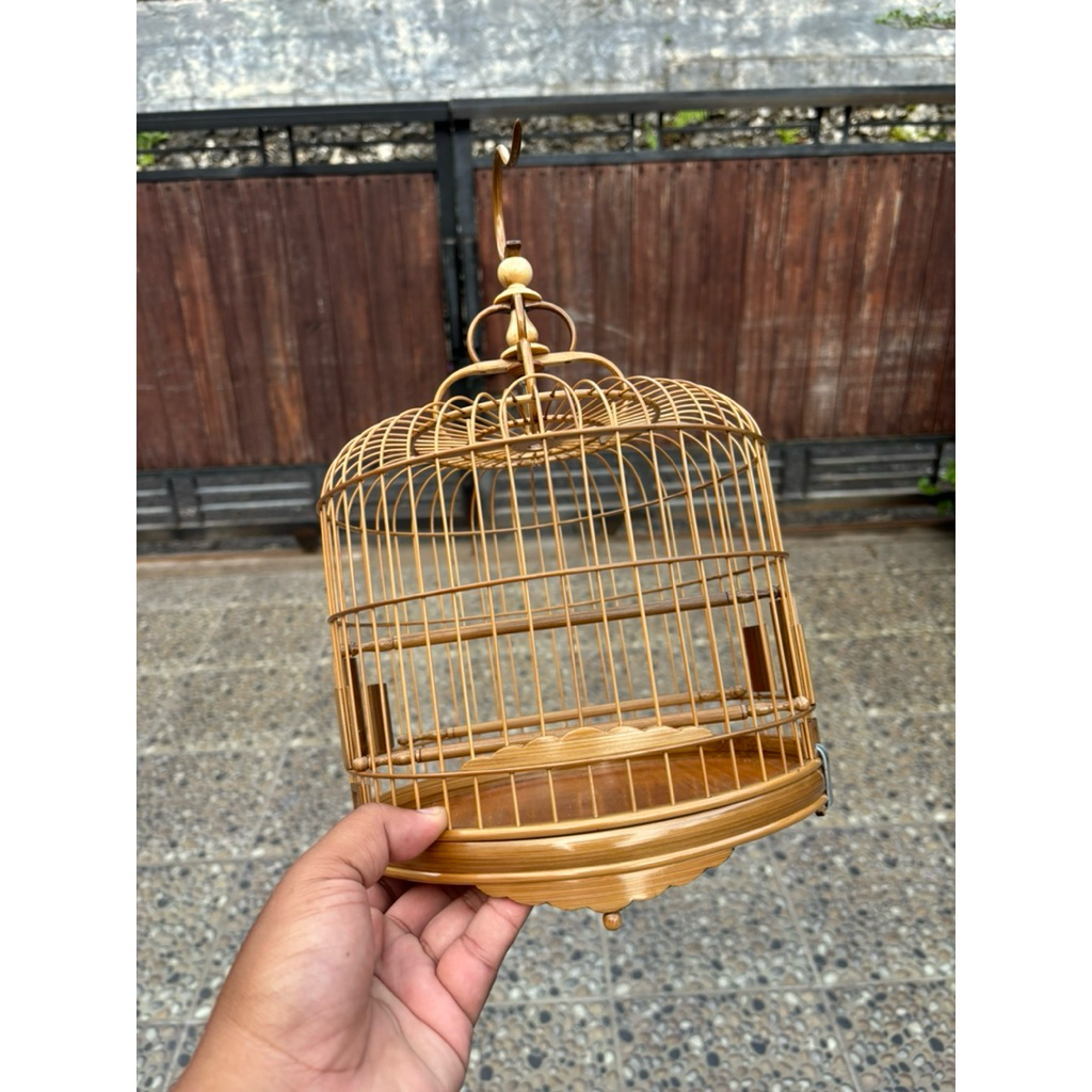 cungkok burung kecil ceper D22