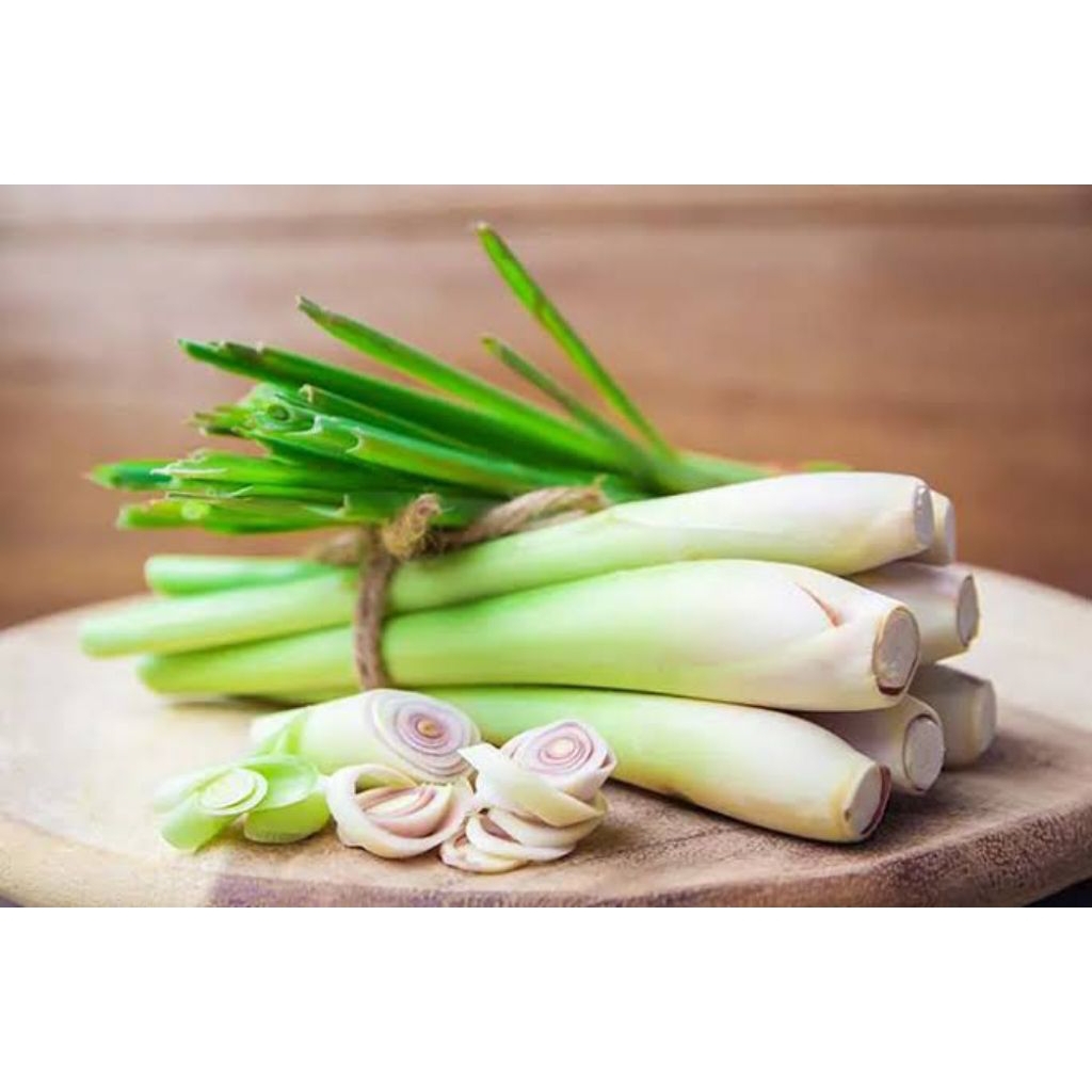 

SERAI BUMBU SIAP TANAM FRESH BONUS