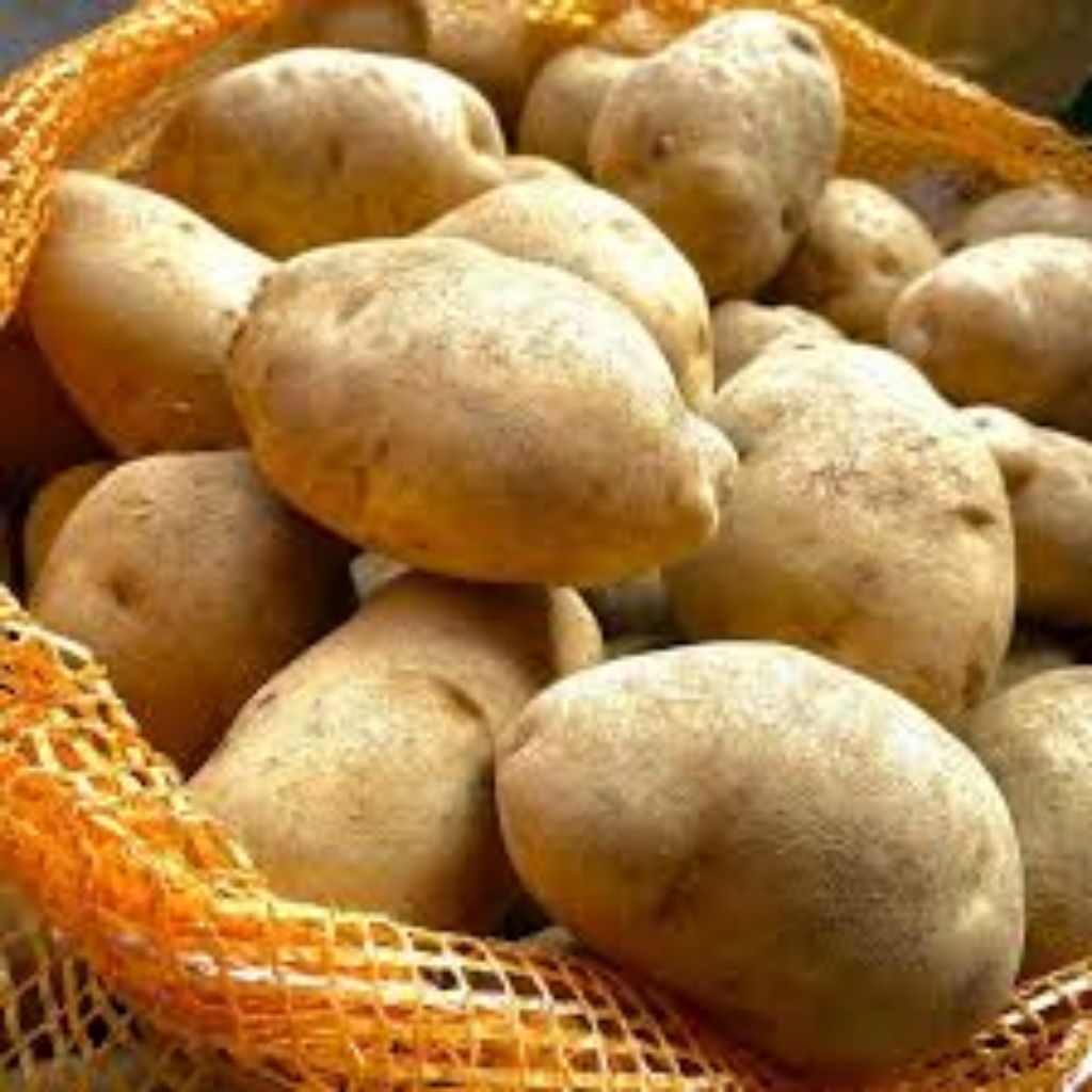 

kentang dieng fresh termurah kecil sedang besar 250 gr 500 gr 1 kg