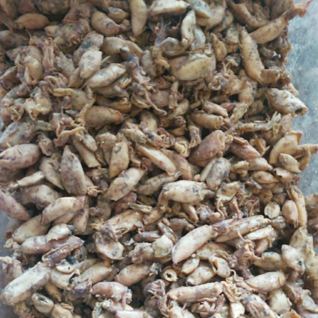 

baby cumi lokal grade 250gr