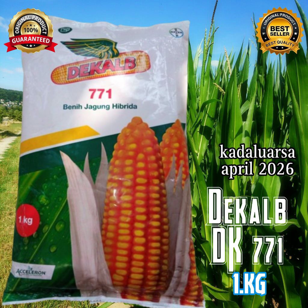 Benih Jag DEKALB DK.771 Janan AqibSaza