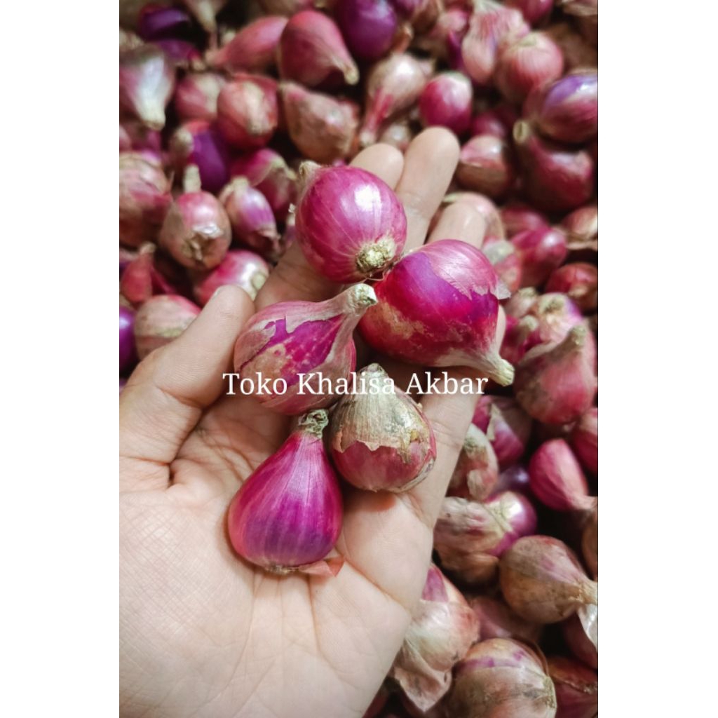 

Bawang merah SUPER uk 500g
